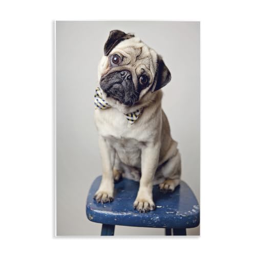 Stupell Industries 'Pug Bow Tie Blue Stool Pet Portrait'| Wall Plaque Art