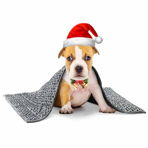 YUSRA Small Weighted Blanket for Dogs, Warm Minky Dog Blanket Especially for Thunderstorms, Fireworks, Separation, Travel, Bed and Couch, Machine Washable, Soft Dog Blanket (Grey, 24 * 32inch 2lbs)