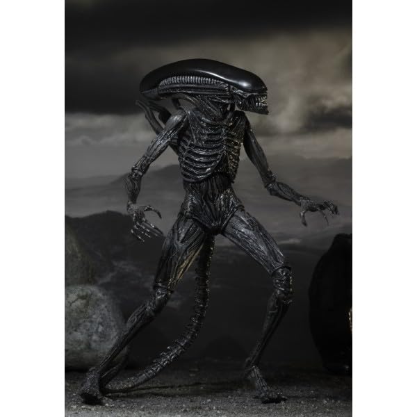 Figura de acción Coleccionable Xenomorpha de la película 'Alien' 18 cm con 20 Puntos de articulación