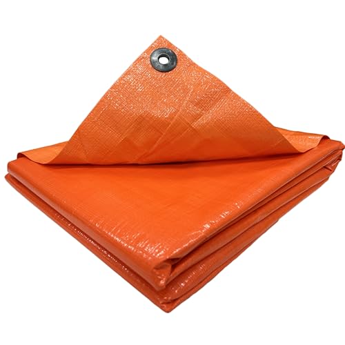 ^JCN #3000 IWV[g 2.7m×3.6m OS-05 h Ԍ W[V[g h ~