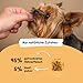 Hanf Minis für kleine Hunde, Snack für Hunde in Würfelform - Getreidefrei, bessere Konzentration, Naturprodukt aus Österreich - 3 x 90g (Huhn)