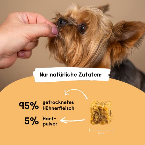 Hanf Minis für kleine Hunde, Snack für Hunde in Würfelform - Getreidefrei, bessere Konzentration, Naturprodukt aus Österreich - 3 x 90g (Huhn)