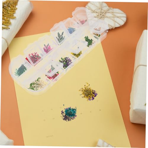 3 cajas flores secas naturales para manualidades miniatura 3