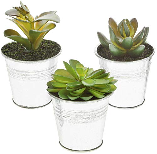 com-four® 3X Plantas Artificiales [la selección varía], Plantas Decorativas engañosamente Reales con macetas de Metal, Plantas Artificiales para la casa, el jardín (03 Piezas - Talla S - Metal)