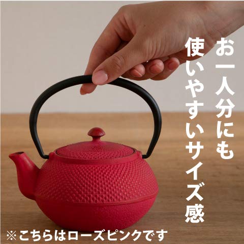 [ Roji Associates ] Cast Iron Teapot, Nanbu Tekki Teapot, (Arare - Round Type), Made In Japan, With Tea Strainer, Inner Enamel Finish, Teapot, Color Pot, Open Fire Ban (13.53 Fl Oz/Red) #TOP1