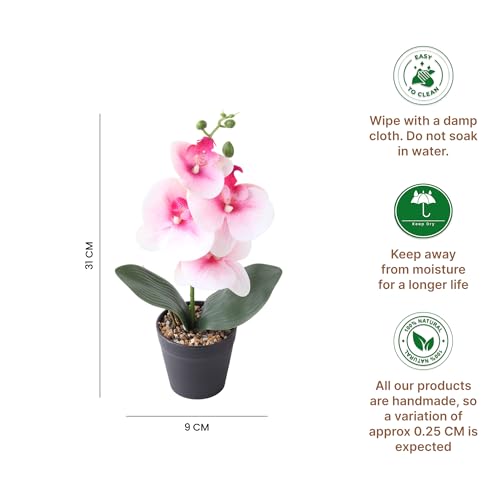 Image of Habere India-All the Cultures Fabricating India Pink Moth Orchid Artificial Plant with Pot for Home Decor | Small Fake Flower Plants for Living Room & Indoor Decoration (Design01: L9 x W9 x H31 cm)