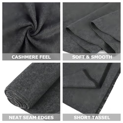 Einskey MEN'S WINTER SCARF 2-Pack Warm Cashmere Feel Striped Color Check Tartan Plaid Tassel Soft Long Fashion Neck Scarves thumb #1