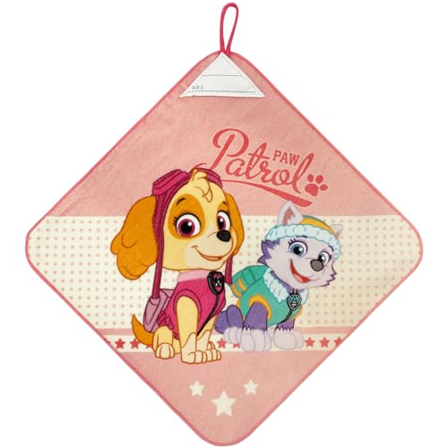 (Hayashi) [v^I 30×30cm pEEpg[ xXgp[gi[ WN425600