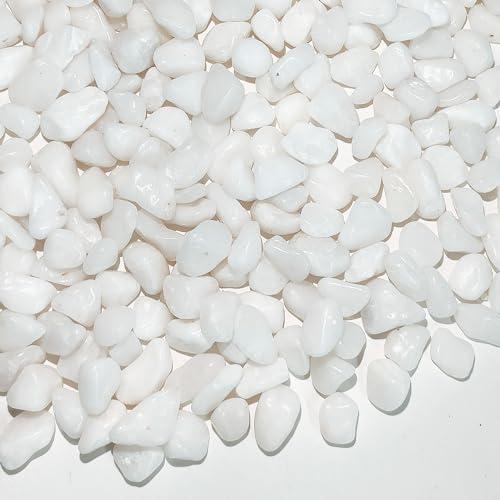 FANTIAN 0.9 kg White Pebbles for Plant Pots 6-9 mm Decorative White Stone for Garden Vases and Aquarium