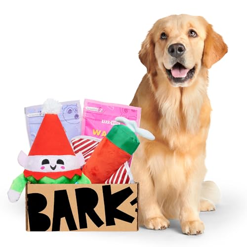 BarkBox Monthly Subscription Box, Dog Chew Toys, All Natural Dog Treats, Dental Chews, Dog Supplies Themed Monthly Box, Large Dog (50lb+)