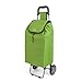 Metaltex Daphne - Carro de Compra con 2 Ruedas, 40 Litros, Verde