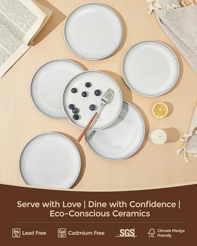 Image of Pokini Ceramic Dinner Plates Set of 6, 8inch Salad, Dessert Plates Dishes | Reactive Glaze Stoneware Dish Set, Dinner Plate for Dessert, Salad, Appetizer, Microwave & Dishwasher Safe, Scratch Resistant