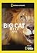 Big Cat Week 2015