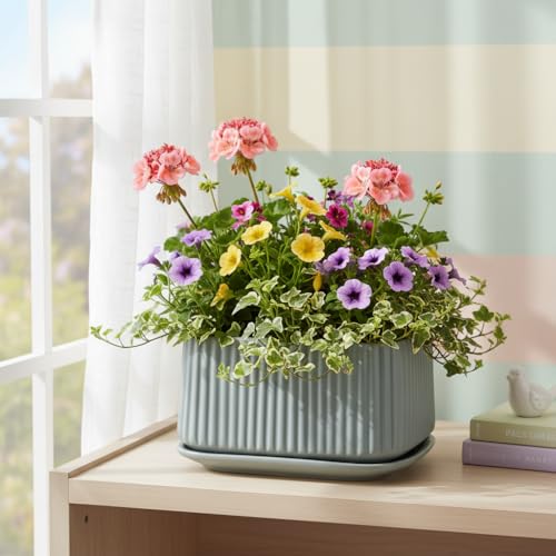 Image of Xtore Ceramic Ribbed Planter with Tray | Matte Finish | for Home & Office Decor - (Pack of 1, Pastel Green, Planter ONLY)