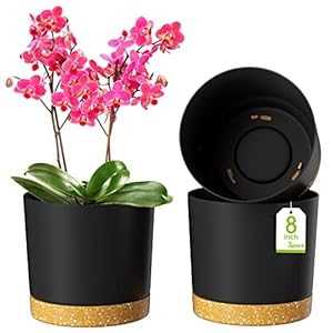 ZMTECH Blumentopf 20 cm Durchmesser übertöpfe für zimmerpflanzen, Kunststoff blumentöpfe mit Untersetzer und Abflusslöchern, Rund pflanztöpfe für Innen Außen Pflanzen(3er-Set, Dunkel Grau)