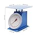 110-LBS Heavy Duty Portion-Control Mechanical Kitchen and Food Scale Industrial Dial Scale with Iron Platform Mechanical Dial Scale (110lbs)