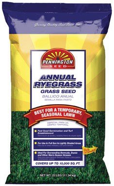ANNUAL RYEGRASS SEED 25#