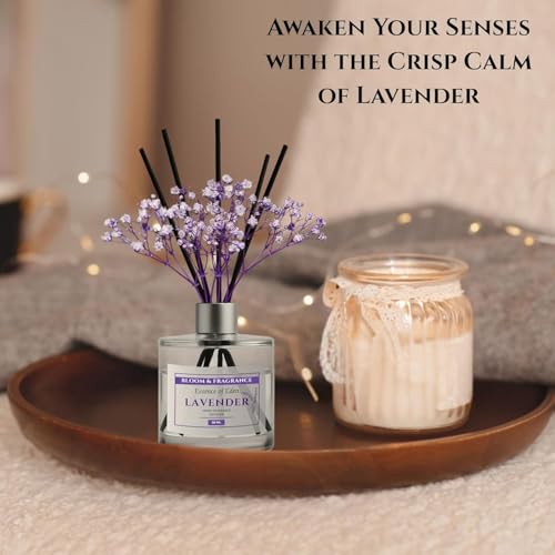 Reed Diffuser Aceite Aromático 50ml con 6 Varillas miniatura 5