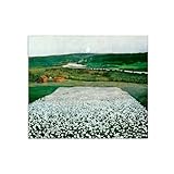 SDYSKKUG Harald Sohlberg Famosa Cuadros sobre Lienzo. Prado flores norte. Reproducción Impresión en Lienzo. Moderno Decoración Hogar 60x50cm Sin Marco