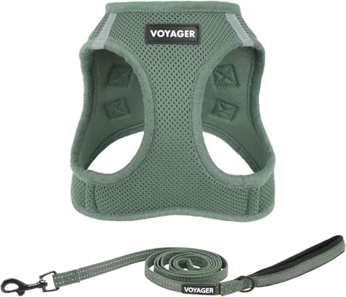 Image of Best Pet Supplies Voyager Step-in Air All Weather Mesh Harness and Reflective Dog 5ft Leash Combo with Neoprene Handle, for Small, Medium and Large Breed Puppies - Set (Moss Green), Large