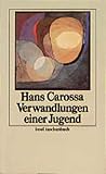  Werke in Einzelausgaben. Zwölf Bände in Kassette: 8: Verwandlungen einer Jugend (insel taschenbuch)