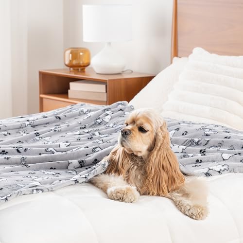 Image of Berkshire Blanket Peanuts VelvetLoft Cute Character Snoopy Plush Throw Blanket,Peanuts Poses and Paws Grey,Throw 55 in x 70 in (Official Peanuts Product)