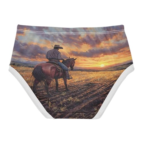 American West Cowboy Toddler Girls's Underwear 2T 202b87142