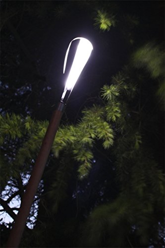 Bioviva - Défis Nature - Reptiles - Pariez sur les points forts de ces animaux pour gagner la bataille - Jeu de Cartes - 2 à 6 Joueurs - 7 ans - Fabriqué en France - 280037