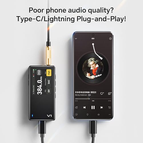 Image of TempoTec Variations V1 Portable HiFi Music Player,Digital Audio Player with Two Way Bluetooth 5.1. 4.4mm&3.5mm Headphone Ports +Black Back Clip