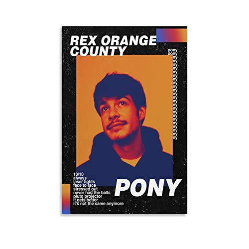 Impression sur toile Rex Orange County PONY 2 d'une netteté exceptionnelle 50x75