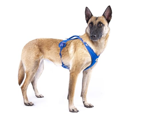 Belka Harness Air-Mesh Black 4XL