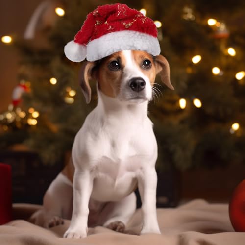 KONVINIT Weihnachtsmütze für Hunde - Nikolausmütze Santa Mütze für Mittelgroß Große Hunde, Weihnachtskostüm Outfits Weihnachts Deko Geschenk, Rot Size L