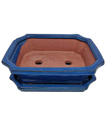 Cuir D'or Tiesto de cerámica Hecho a Mano para bonsais (26, 22)