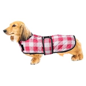 Geyecete Waterproof Warm Thermal Quilted Dachshund Coat with Warm Fleecy Lining Inside,Outdoor Dog Apparel with Adjustable Bands for Small,Medium Dog-Pink-S Geyecete Waterproof Warm Thermal Quilted Dachshund Coat with Warm Fleecy Lining InsideOutdoor Dog Apparel with Adjustable Bands for SmallMedium Dog Pink S