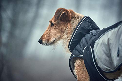 HUNTER UPPSALA EXTREME Hundemantel, Wintermantel, wasserabweisend, reflektierend, 25, schwarz/grau