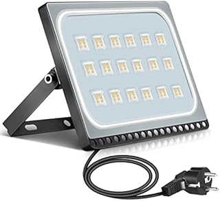 papasbox Reflektor LED 100 W, reflektor budowlany z wtyczką, wodoszczelny IP65, zimna biel 6000 K, idealne oświetlenie ścienne do ogrodu, garażu, hotelu