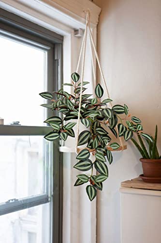 Gnflus Fake Plants, 20 Inch Artificial Hanging Plant In Ceramic Pot Faux Peperomia Watermelon Vine Potted For Home Bedroom Office Table Shef Indoor Outdoor Decor - Style 2 #TOP2