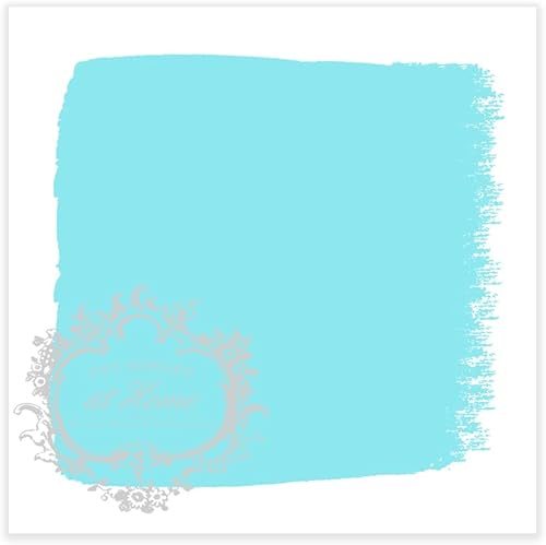 Miniatura 2 de AMY HOWARD AT HOME Pintura en aerosol para laca de nitrocelulosa, paquete de 2 unidades, 12 onzas, laca en aerosol con acabado brillante para