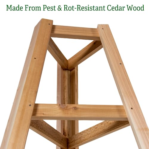 Gardeners-Supply-Company-Cedar-Wood-Obelisk-8-Feet-Tall-Outdoor-Garden-Structure-Trellis-Support-for-Climbing-Flowers-and-Vining-Vegetables Gardeners Supply Company Cedar Wood Obelisk 8 Feet Tall Outdoor Garden Structure Trellis Support for Climbing Flowers and Vining Vegetables