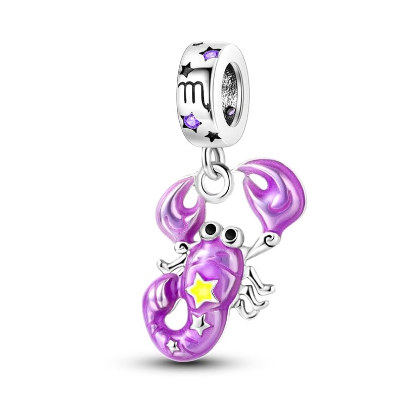 Charm de cumpleaños en plata 925 con signo zodiacal luminoso el regalo ideal para pulseras