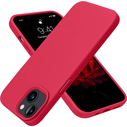 Custodia Protettiva iPhone 13 IBIZU DropGuard Ultra MagSafe Einstein