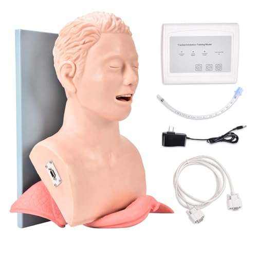 ZEQFEMKL Intubation Airway Management Trainer Adult Intubation Manikin Teaching Model Airway Management Trainer Tracheal Intubation Training Simulator Model