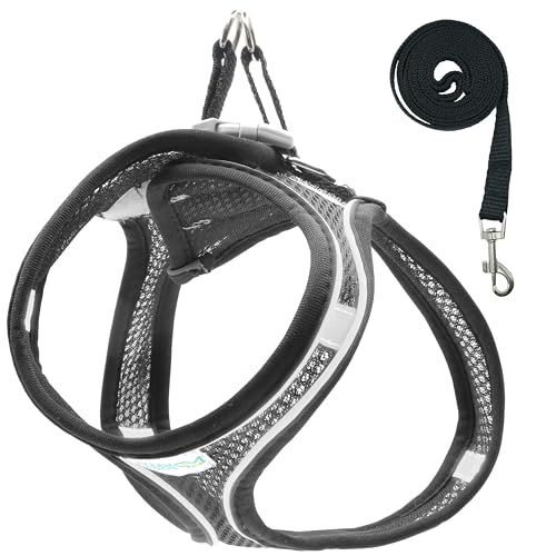 Pettorina Cane Taglia Piccola e Media – Imbracatura Morbida Catarifrangente Antifuga con Chiusura Regolabile, Design a H Sicuro e Confortevole – Collo 35-40 cm, Torace 53-56 cm