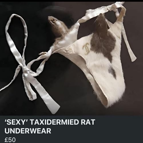 Get pumped on the cheap cover art