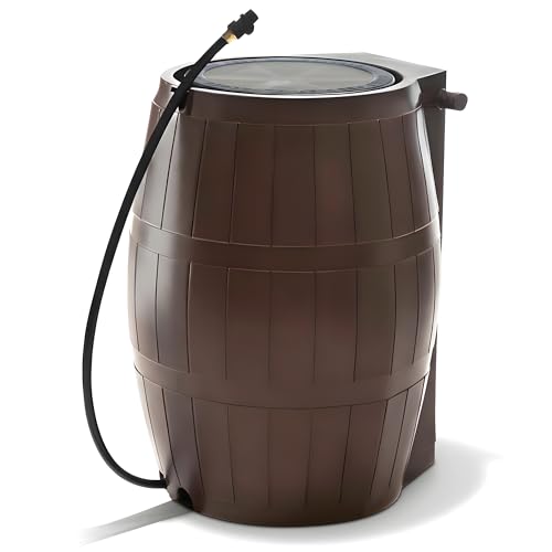 brown barrel