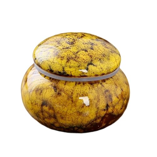 Fiyyuga  ~j ȍ 蓩̂yY (CG[)