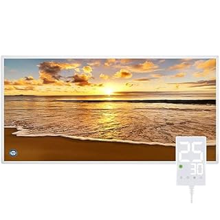 Hocosyme Pannello Radiante Infrarossi 720W, Temperatura Massima può Taggiungere i 120 Gradi Celsius Entro 3 Minuti - con Termostato Touch - Certificazione TÜV - PA