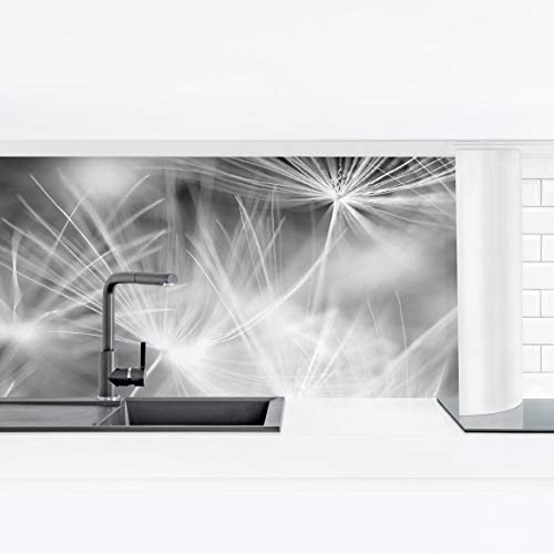 Preisvergleich Produktbild Küchenrückwand Panorama - Pusteblume Wandschutzfolie Küche Rückwand Motiv Bild Grafik Druck Folie Spritzschutz Hochglanz küchenwand Fliesenwand Smart 40 x 140 cm