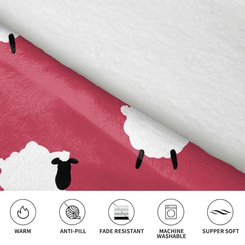 Couverture à capuche mouton pour vos soirées télé cocooning - 5