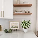 Briful Kunstpflanze Wie Echt Künstliche Ficus Pflanzen im Topf Kleine Dekopflanze für Fensterbank Wohnzimmer Badezimmer Dekoration – Bild 5